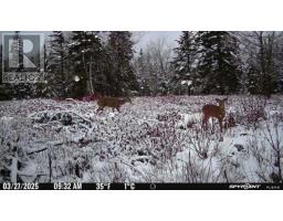 Lot Ar Fishpeddlers Road, Indian Path, NS B0J2X0 Photo 15