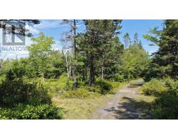 Lot Ar Fishpeddlers Road, Indian Path, NS B0J2X0 Photo 11