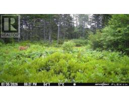 Lot Ar Fishpeddlers Road, Indian Path, NS B0J2X0 Photo 16
