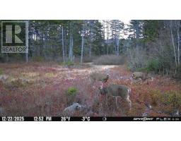 Lot Ar Fishpeddlers Road, Indian Path, NS B0J2X0 Photo 17