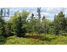 Lot Ar Fishpeddlers Road, Indian Path, NS B0J2X0 Photo 12