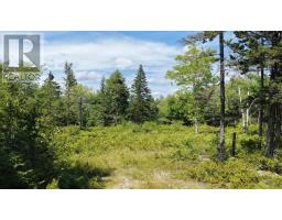 Lot Ar Fishpeddlers Road, Indian Path, NS B0J2X0 Photo 6