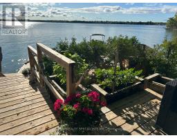 Lot 42 Snake Island Road, Georgina Islands, ON L4P3E9 Photo 12