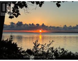 Lot 42 Snake Island Road, Georgina Islands, ON L4P3E9 Photo 42