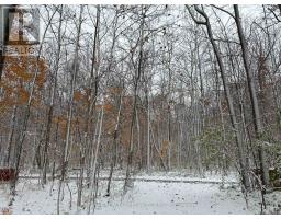 Lot 42 Snake Island Road, Georgina Islands, ON L4P3E9 Photo 44