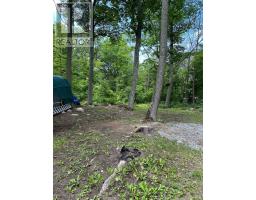 Lot 42 Snake Island Road, Georgina Islands, ON L4P3E9 Photo 49