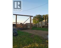 162 Hays Rd 30 N, Hays, AB T0K1B0 Photo 19