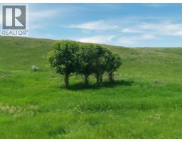 162 Hays Rd 30 N, Hays, AB T0K1B0 Photo 33