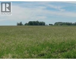 162 Hays Rd 30 N, Hays, AB T0K1B0 Photo 32