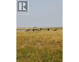162 Hays Rd 30 N, Hays, AB T0K1B0 Photo 18