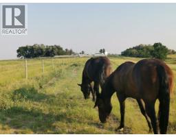 162 Hays Rd 30 N, Hays, AB T0K1B0 Photo 31