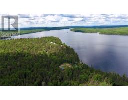 . Pcl 53m118 Nagasin Lake, Dalmas Township, Chapleau, ON P0M1K0 Photo 39