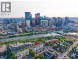 501, 316 1 Avenue Ne, Calgary, AB T2E0B2 Photo 15