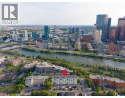 501, 316 1 Avenue Ne, Calgary, AB T2E0B2 Photo 16