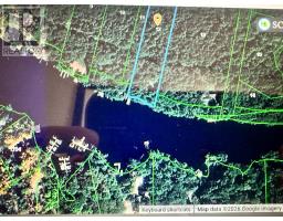 12 Severn River Shore, Muskoka Lakes), ON P0C1M0 Photo 6