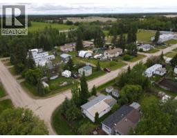 1007 1st Avenue, Enilda, AB T0G0W0 Photo 17