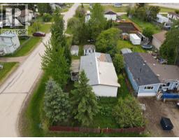 1007 1st Avenue, Enilda, AB T0G0W0 Photo 18