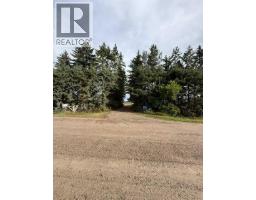 2114 Township Road 372, Rural Red Deer County, AB T4G0M9 Photo 26