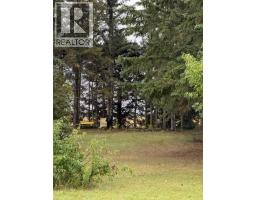 Bedroom - 2114 Township Road 372, Rural Red Deer County, AB T4G0M9 Photo 7