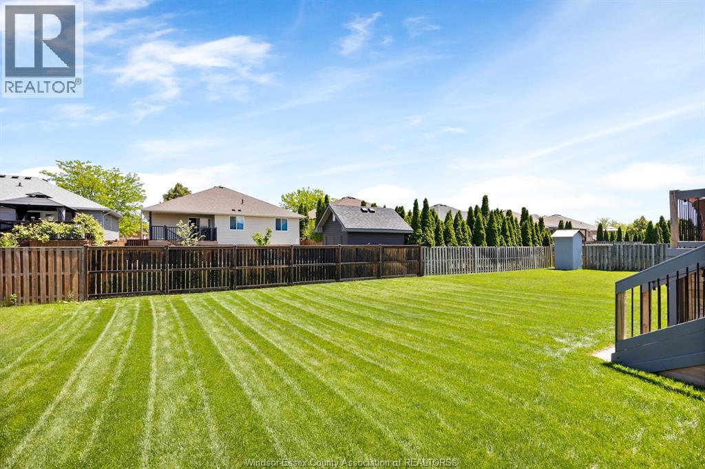 1622 CLOVER - Image 31