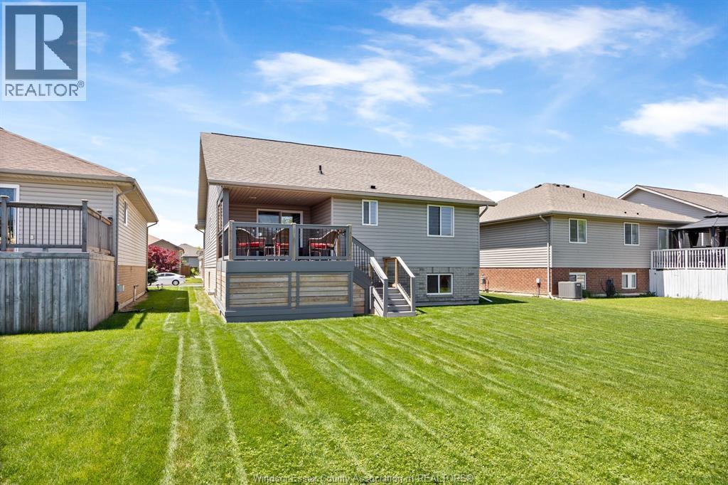 1622 CLOVER - Image 33