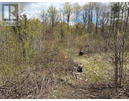 Lot 0 County Road 38, Frontenac, ON K0H2P0 Photo 10