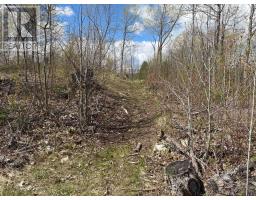 Lot 0 County Road 38, Frontenac, ON K0H2P0 Photo 11