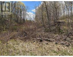 Lot 0 County Road 38, Frontenac, ON K0H2P0 Photo 12