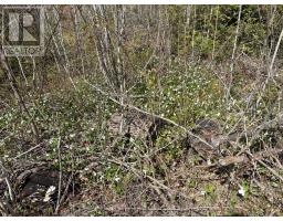 Lot 0 County Road 38, Frontenac, ON K0H2P0 Photo 14