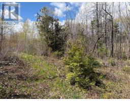 Lot 0 County Road 38, Frontenac, ON K0H2P0 Photo 15