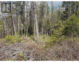 Lot 0 County Road 38, Frontenac, ON K0H2P0 Photo 16