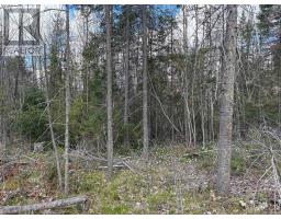 Lot 0 County Road 38, Frontenac, ON K0H2P0 Photo 17