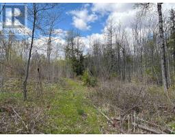 Lot 0 County Road 38, Frontenac, ON K0H2P0 Photo 18