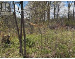 Lot 0 County Road 38, Frontenac, ON K0H2P0 Photo 19