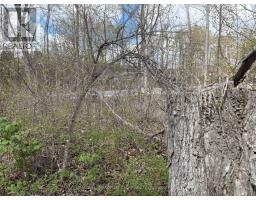 Lot 0 County Road 38, Frontenac, ON K0H2P0 Photo 21