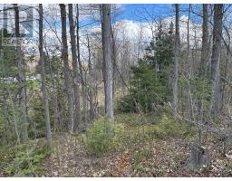 Lot 0 County Road 38, Frontenac, ON K0H2P0 Photo 25
