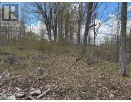 Lot 0 County Road 38, Frontenac, ON K0H2P0 Photo 26