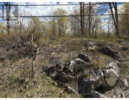 Lot 0 County Road 38, Frontenac, ON K0H2P0 Photo 37
