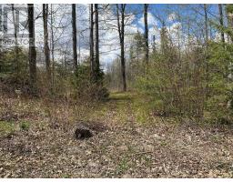 Lot 0 County Road 38, Frontenac, ON K0H2P0 Photo 39