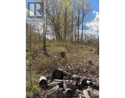 Lot 0 County Road 38, Frontenac, ON K0H2P0 Photo 40