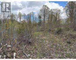 Lot 0 County Road 38, Frontenac, ON K0H2P0 Photo 8