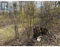 Lot 0 County Road 38, Frontenac, ON K0H2P0 Photo 9