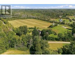 36 Gun Club Road, Prince Edward County, ON K0K2T0 Photo 49