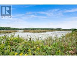110 Indian Road, Asphodel Norwood, ON K0L1Y0 Photo 33