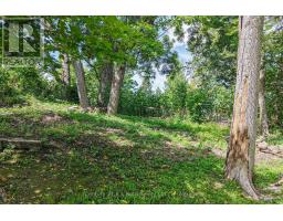 8 Dunn Avenue, Orillia, ON L3V2N9 Photo 19