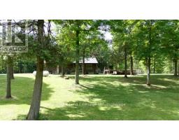 35 Sideroad 10a, South Bruce, ON N0G2S0 Photo 28