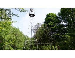 35 Sideroad 10a, South Bruce, ON N0G2S0 Photo 37
