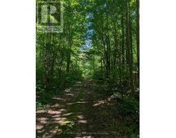 35 Sideroad 10a, South Bruce, ON N0G2S0 Photo 40