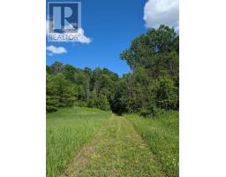 35 Sideroad 10a, South Bruce, ON N0G2S0 Photo 41