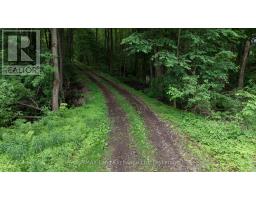 35 Sideroad 10a, South Bruce, ON N0G2S0 Photo 42